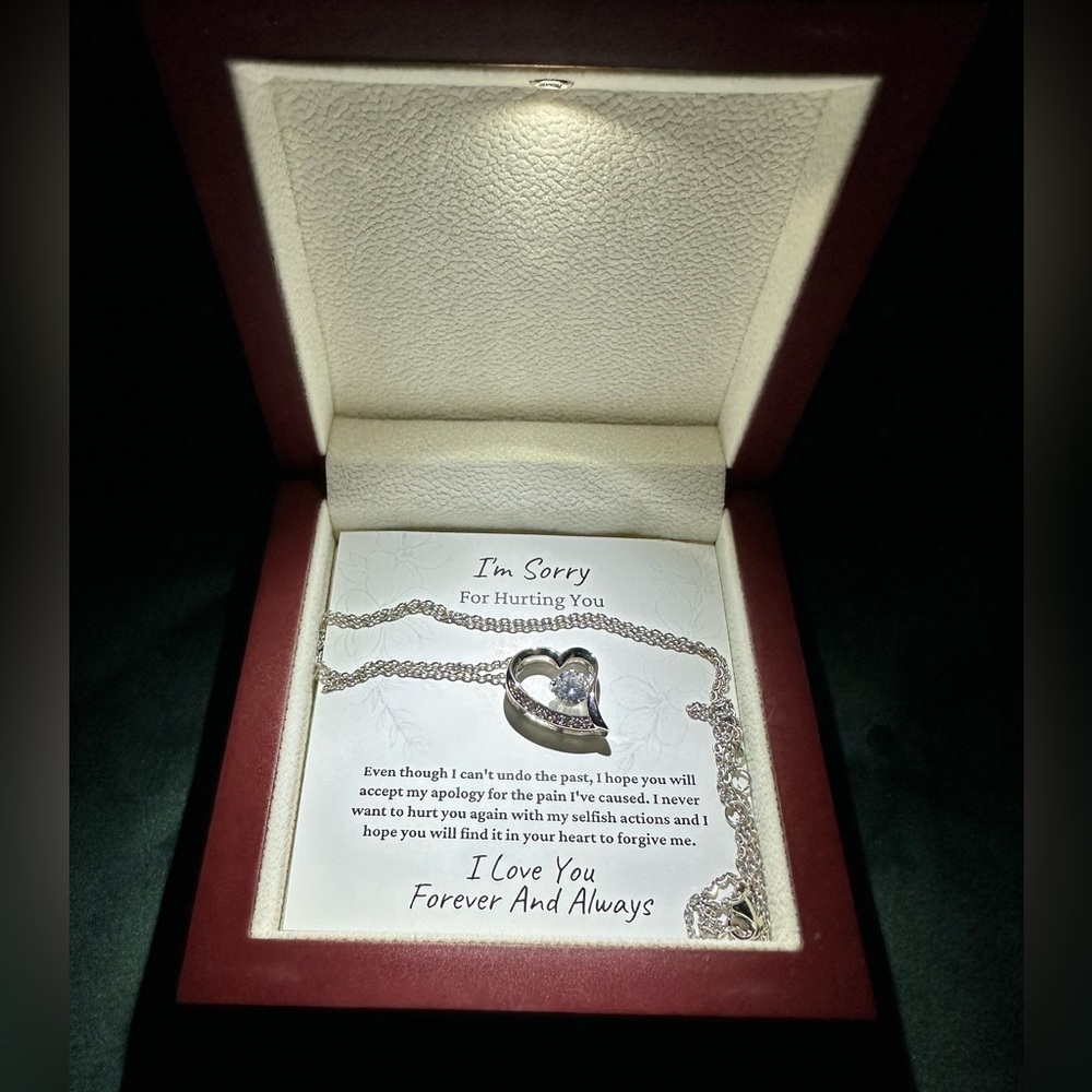 Beautiful NIB I’m Sorry I Hurt You Necklace 🩶